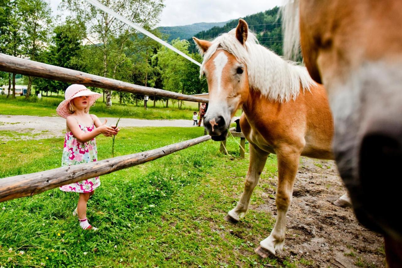 Happy Camp Mobile Homes In Bella Austria Campsite